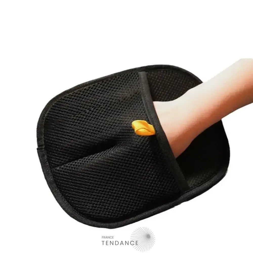 GANTIPOIL + | Le Gant Ramasse Poils révolutionnaire 2025