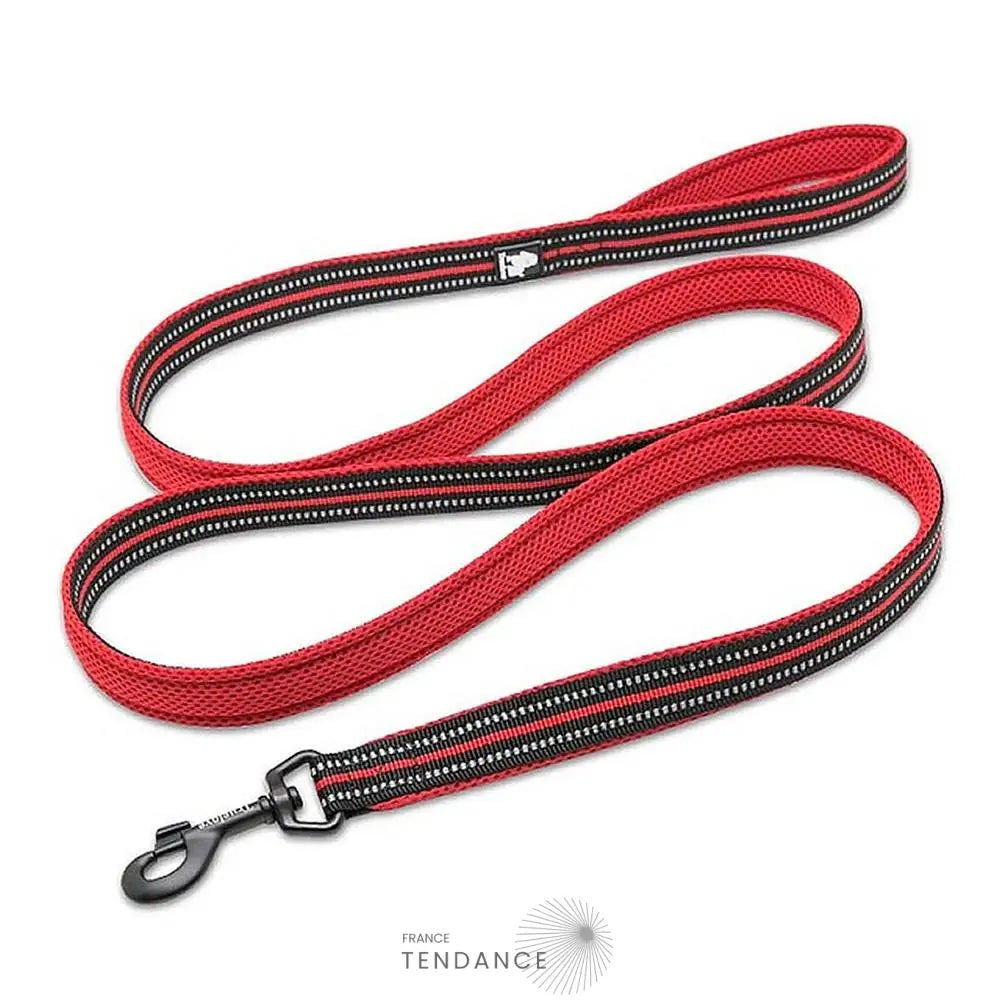 Laisse Lumineuse Réfléchissante | France-Tendance