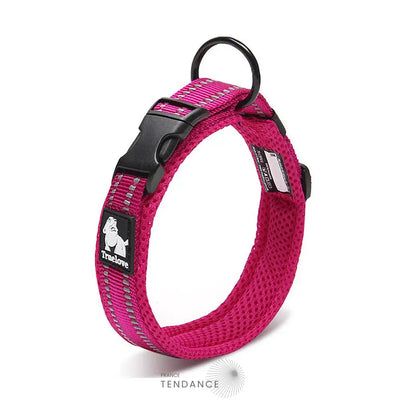 Collier Lumineux Réfléchissant Pour Chien | France-Tendance