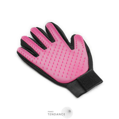 Gant De Massage Et Toilettage Pour Chat Chien |