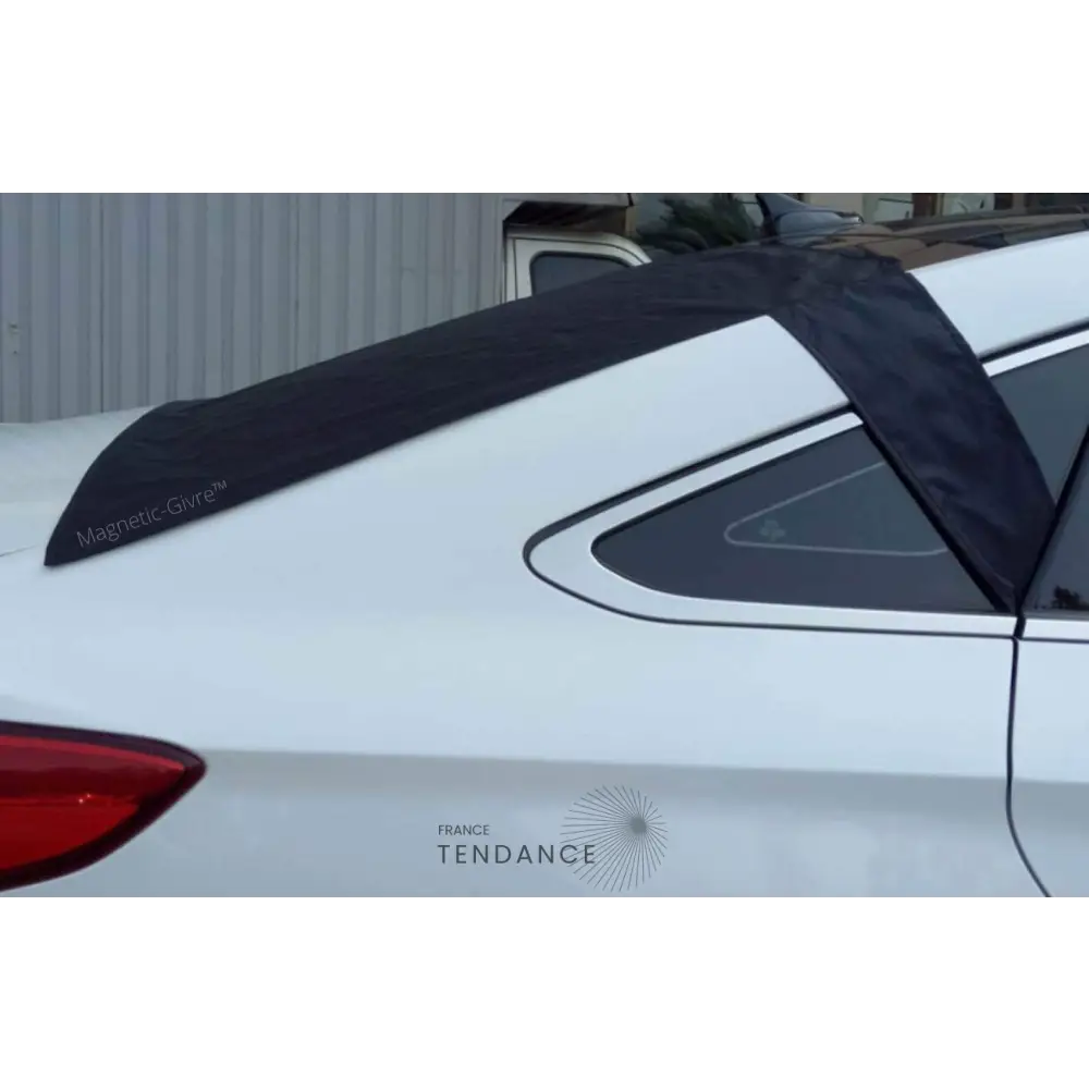 Magnetic-givre™ Vitre Arrière (hayon Ou Coffre) |