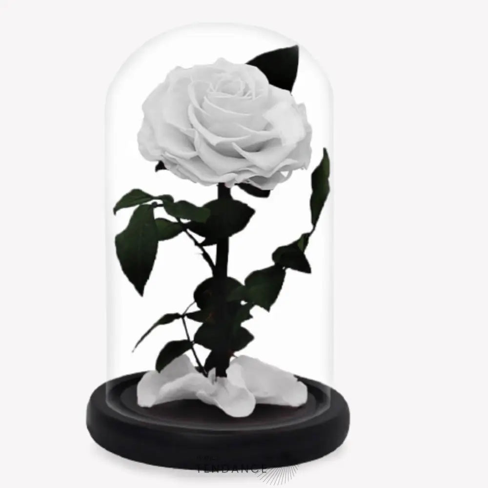 Rose Stabilisée Blanche | France-Tendance