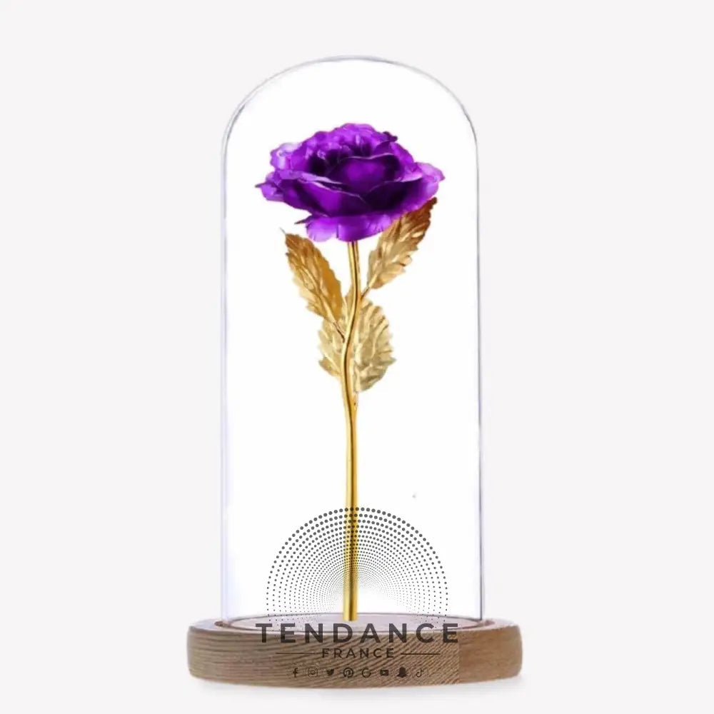 Rose éternelle Or Violette Sous Cloche | France-Tendance