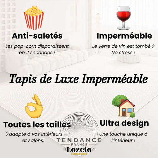 Tapis Magique Intachable | Incroyable Mais Vrai! Salon